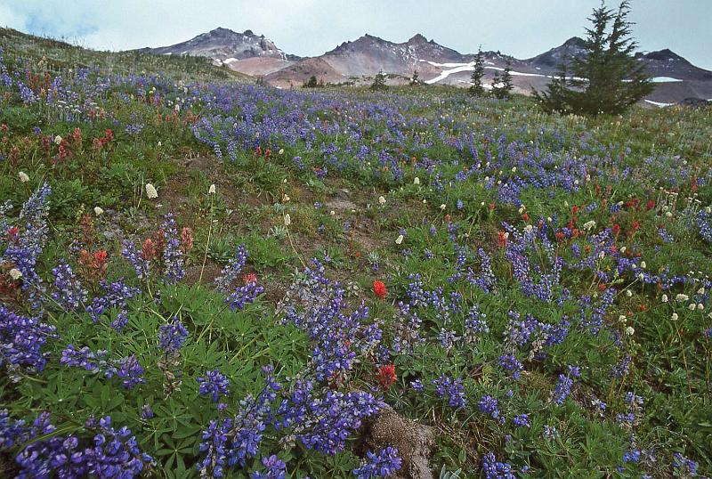 1996-09 Goat Rocks BkPk w Jeanne Steve 03.jpg